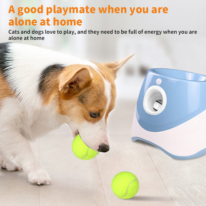 Mini Automatic Dog Ball Launcher with 3 Tennis Balls