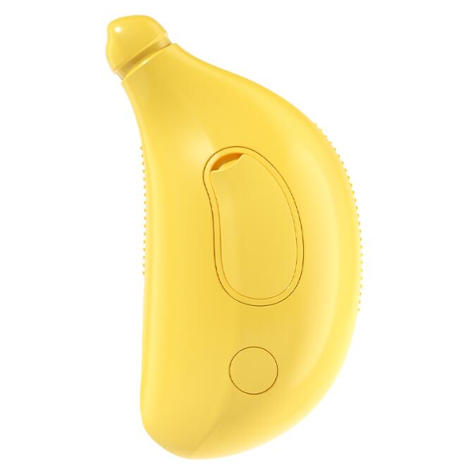 Rechargeable Mist Spray Pet Grooming Brush for Cats & Dogs