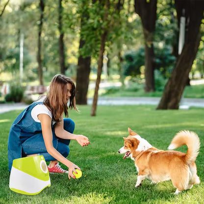 Mini Automatic Dog Ball Launcher with 3 Tennis Balls
