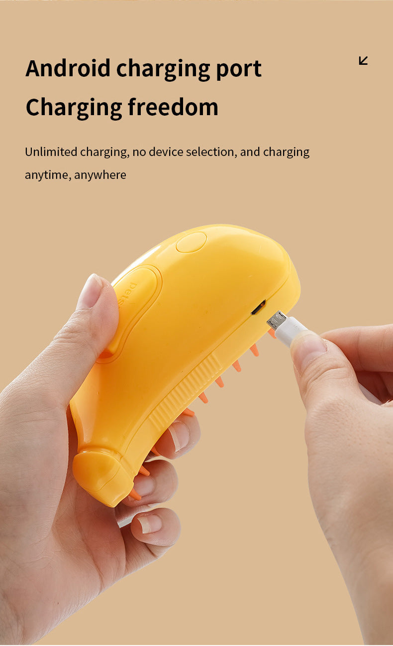 Rechargeable Mist Spray Pet Grooming Brush for Cats & Dogs